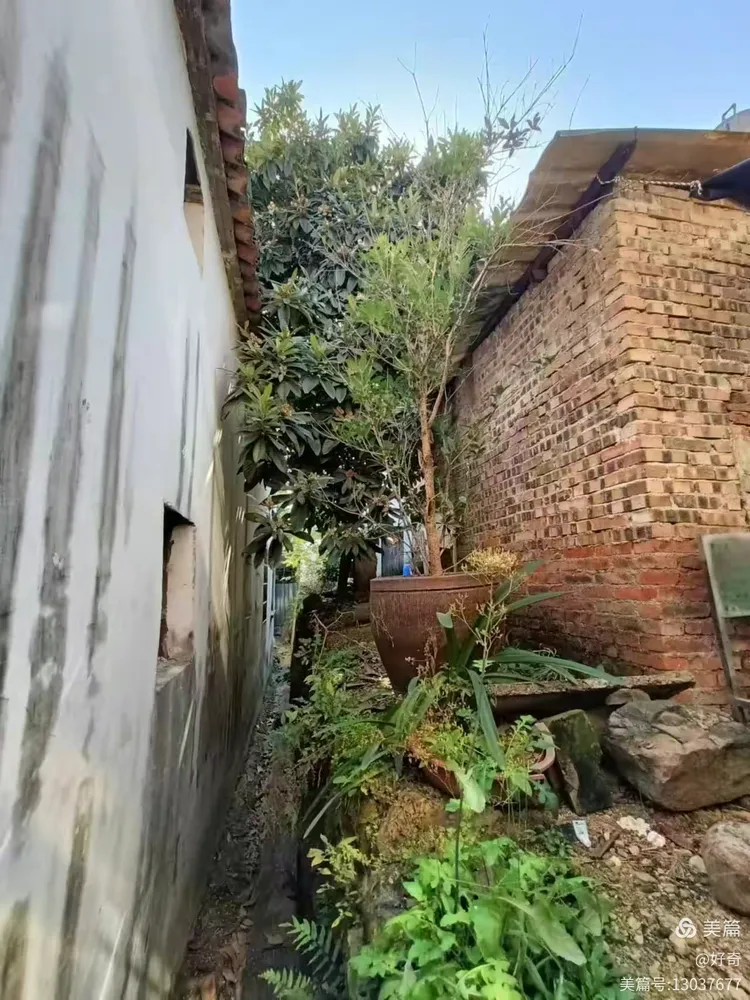 义乌市江湾村随拍